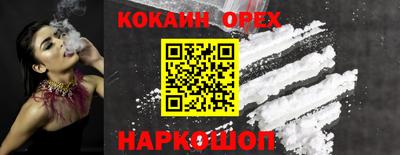 винт Камень-на-Оби