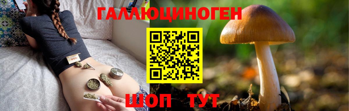 Армавир  Галлюциногенные грибы MAGIC MUSHROOMS  Галлюциногенные грибы Psilocybe  Вход с VPN 